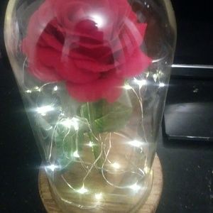 Beauty and the beast rose with fairy lights
